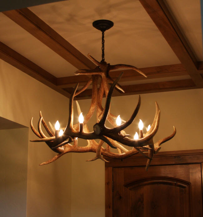 Elk antler chandeliers and lighting